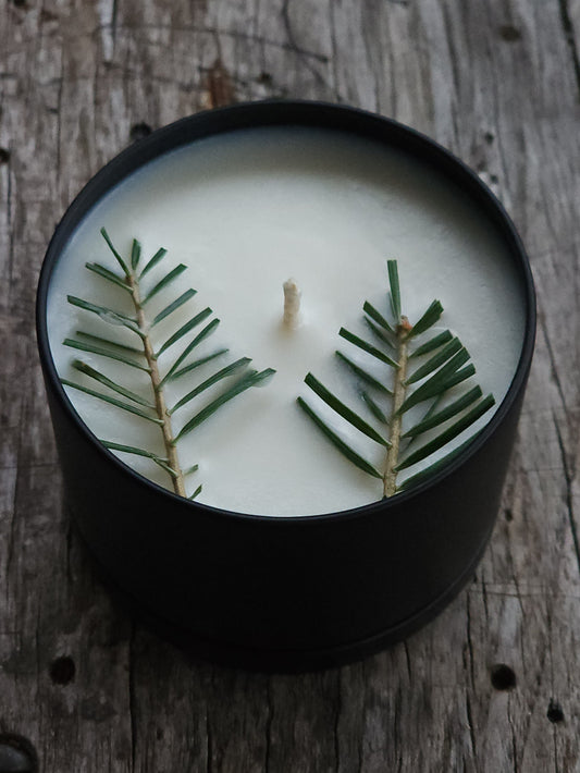 Frasier Fir Candle